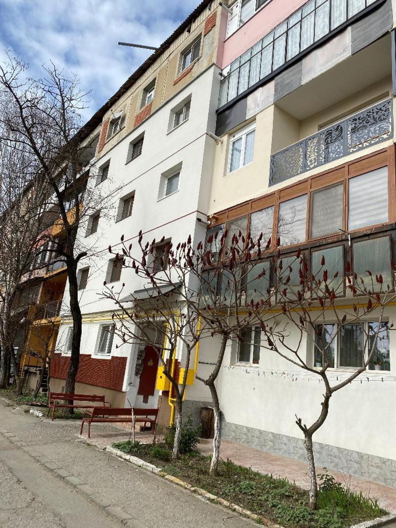 Apartament Ultracentral Botis Sighetu Marmaţiei Exteriör bild